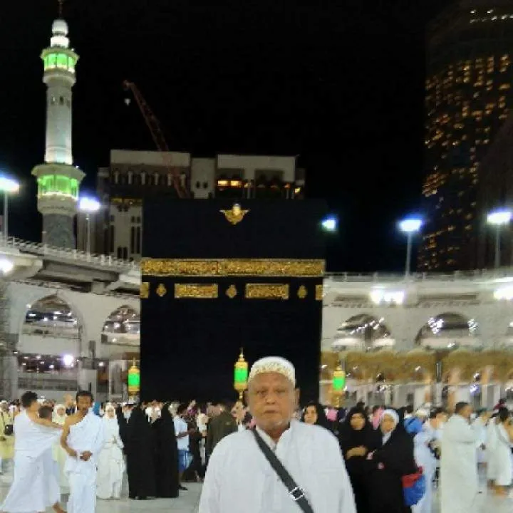 Elephant Photo On Jungo Live