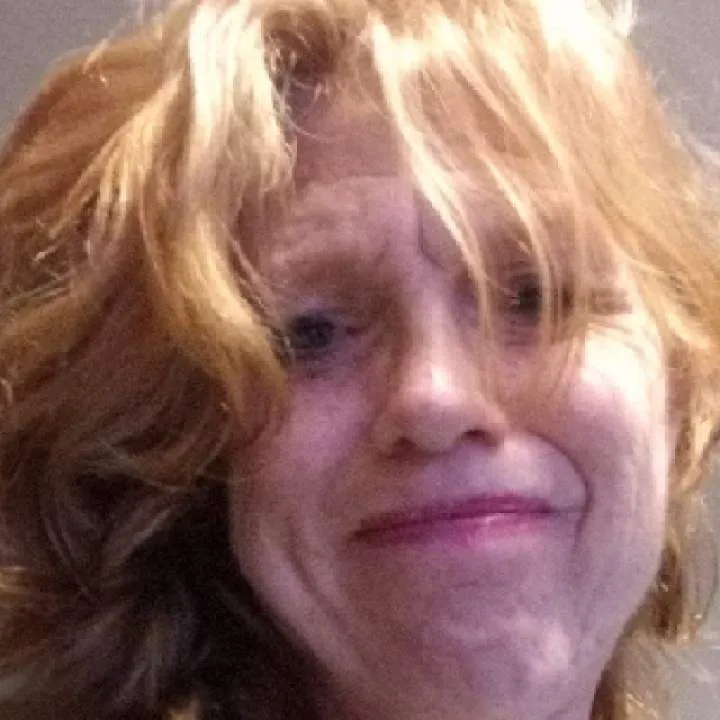 Cherry Pie Photo On Jungo Live