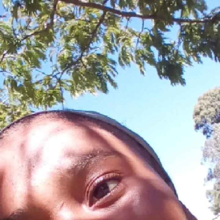 Tweety Photo On Jungo Live