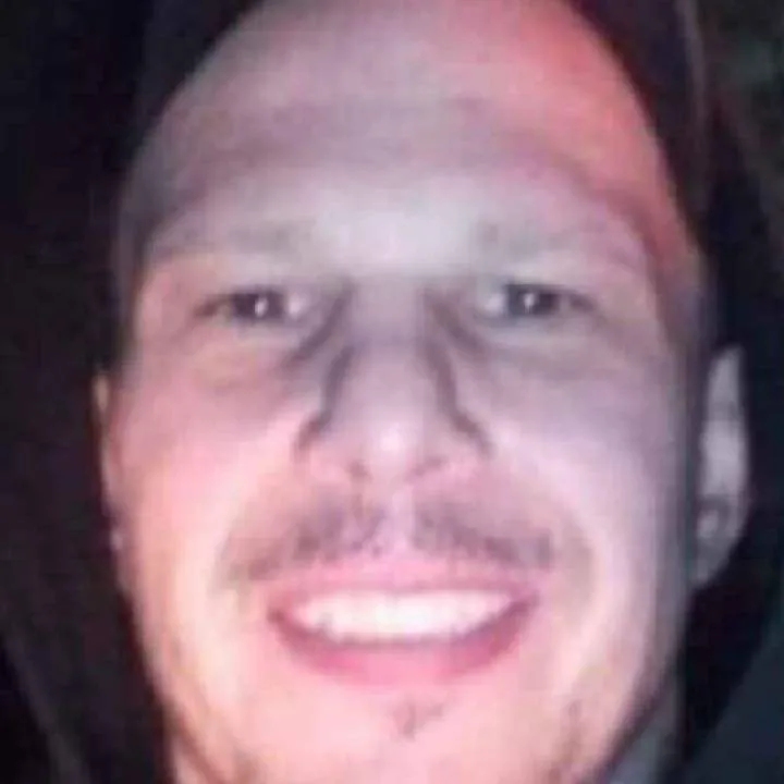 D Rex Photo On Jungo Live