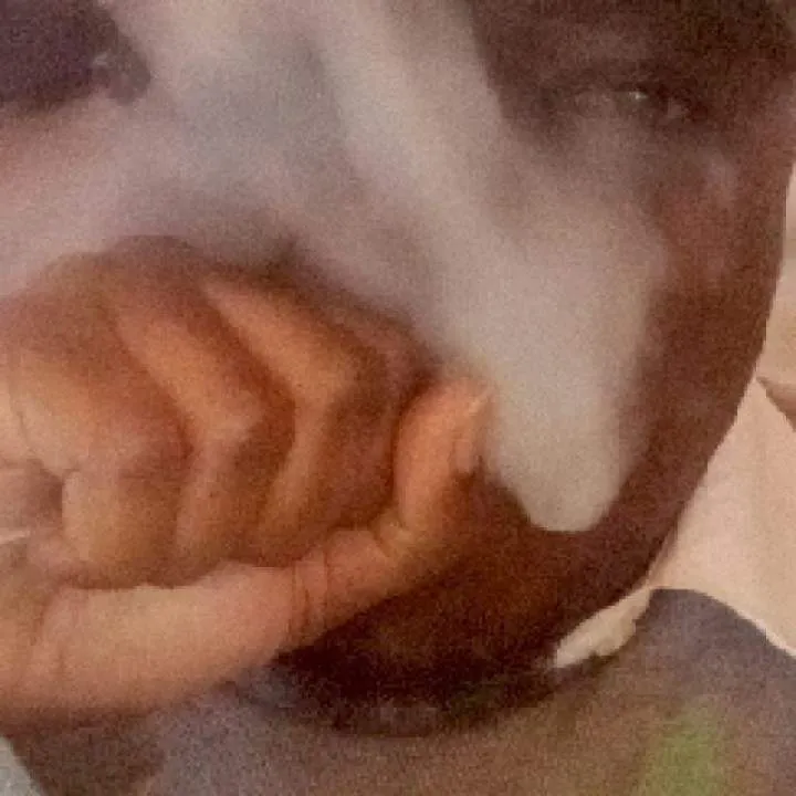 Stanflex Photo On Jungo Live