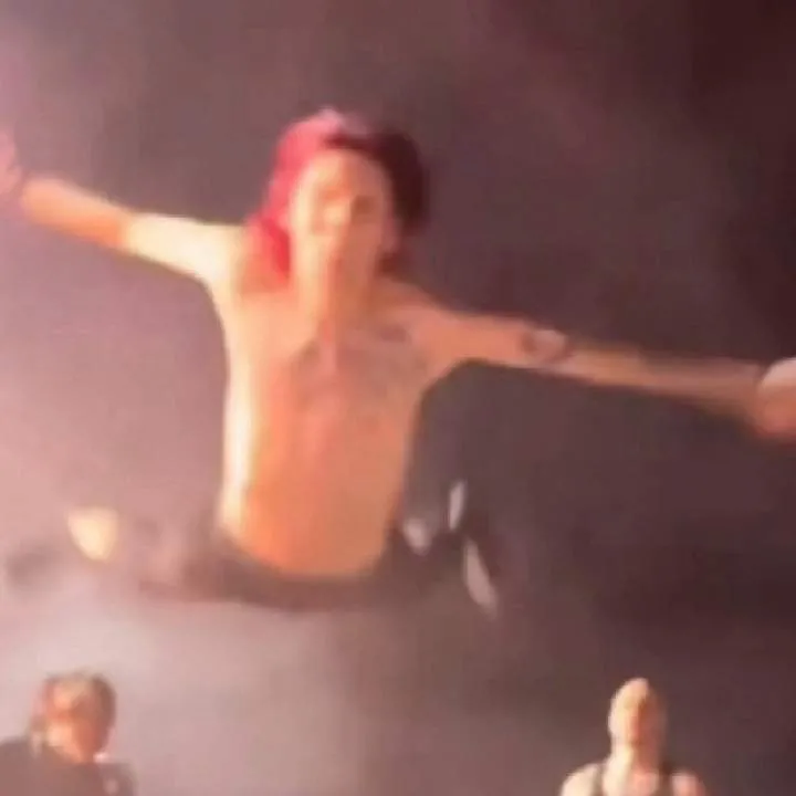 Tigre Photo On Jungo Live