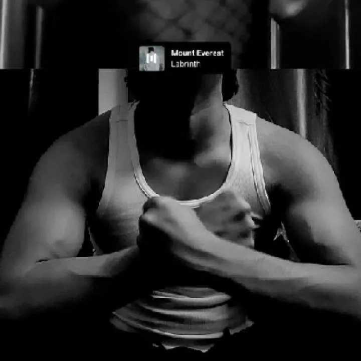 Purple Squid Photo On Jungo Live