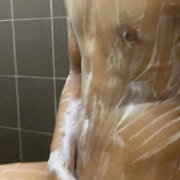 Adamthebull Photo On Jungo Live