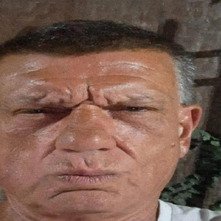 Bostonborn 62 Photo On Jungo Live