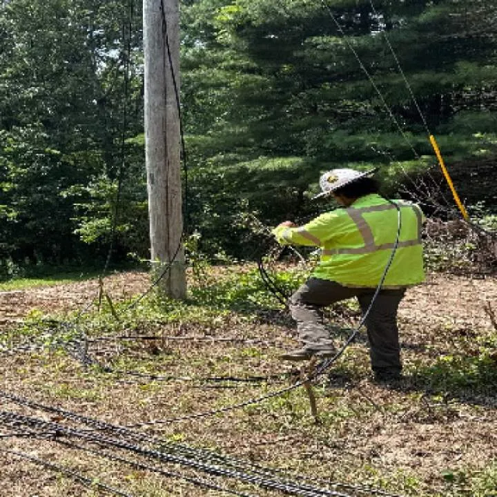 Nate Photo On Jungo Live