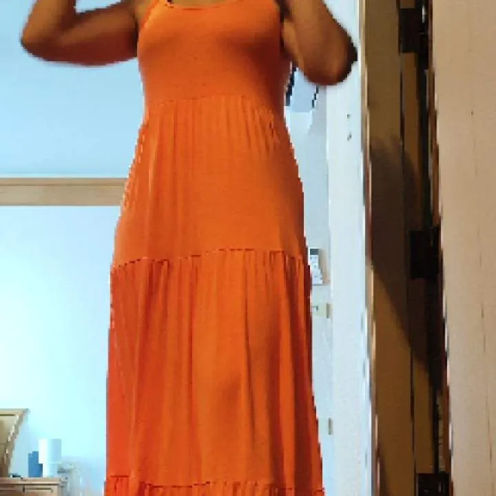 Piku Photo On Jungo Live