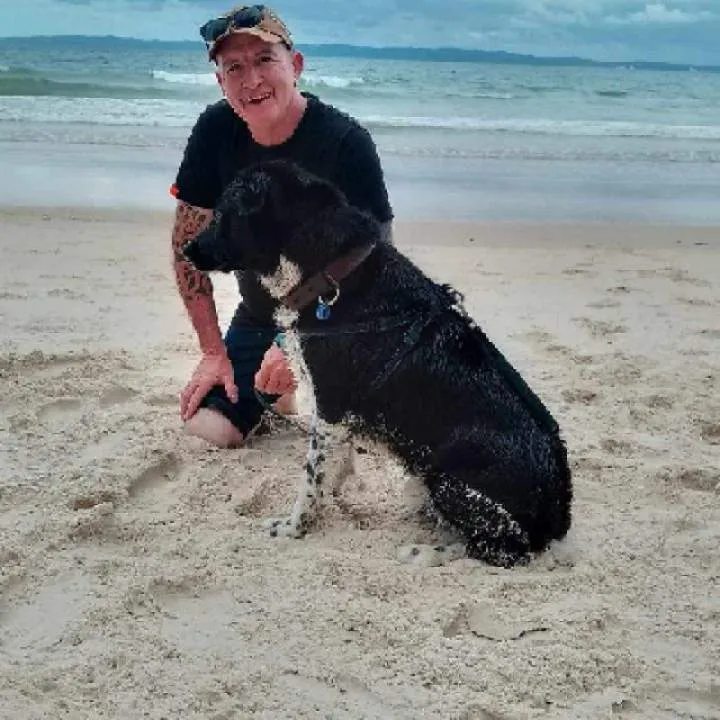 Laney Photo On Jungo Live