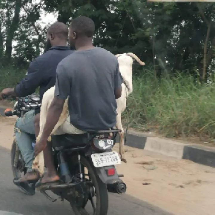 Spasid Photo On Jungo Live