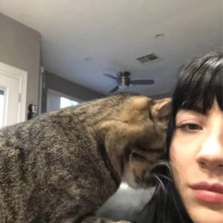 Charlotte Photo On Jungo Live