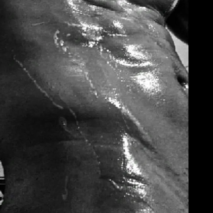 Pollon25cm Photo On Jungo Live