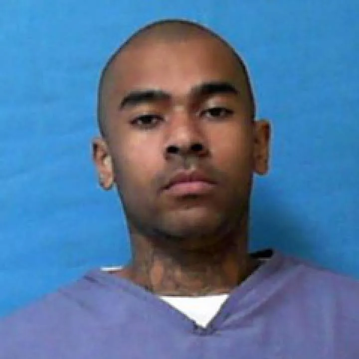 Ap Photo On Jungo Live