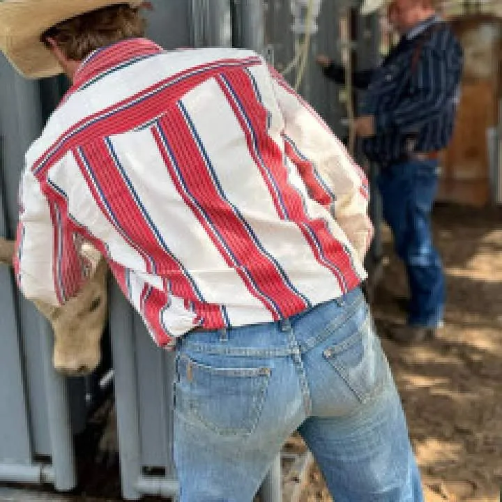 Matt Photo On Jungo Live