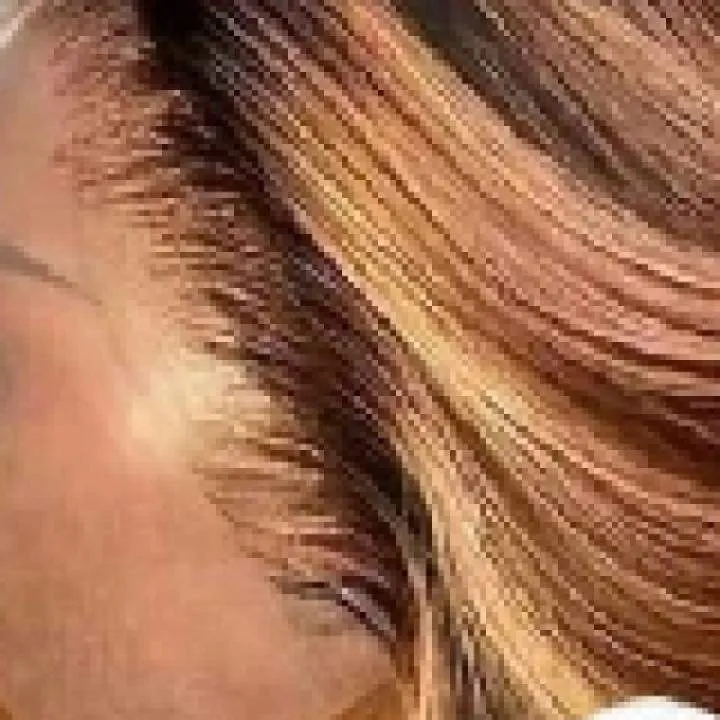 Sponhed Photo On Jungo Live