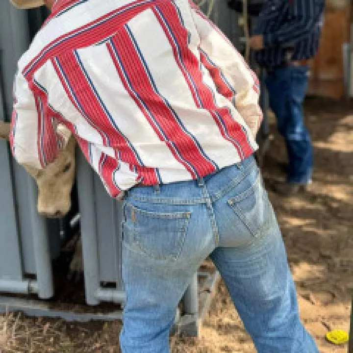 Matt Photo On Jungo Live