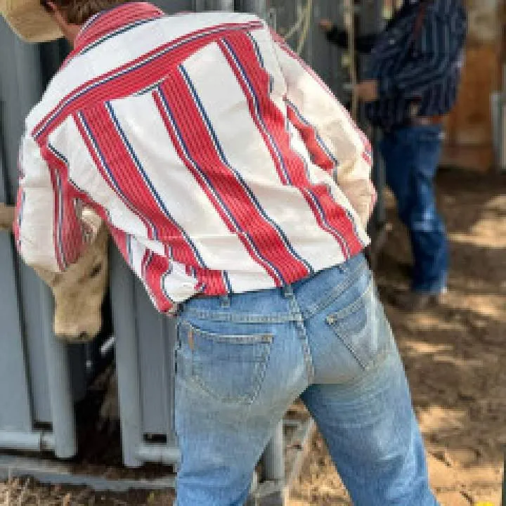 Matt Photo On Jungo Live