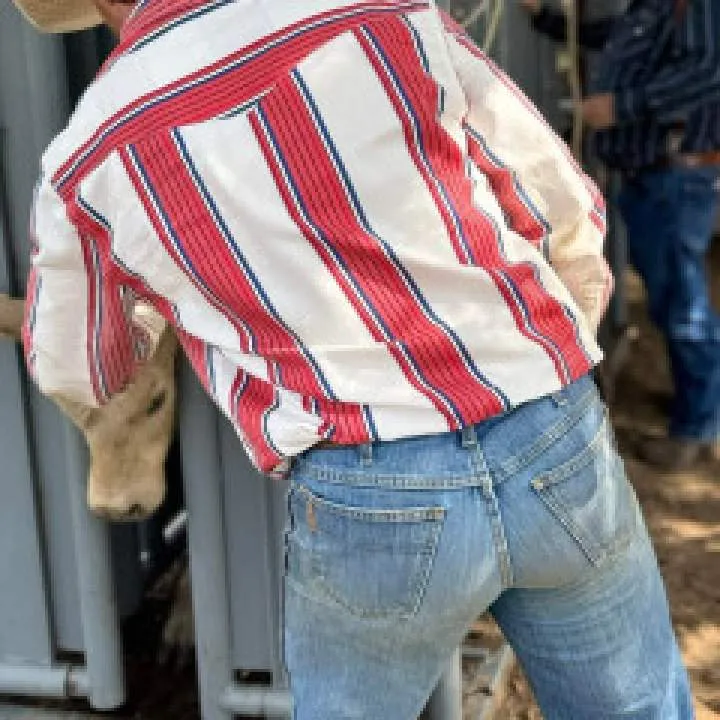 Matt Photo On Jungo Live