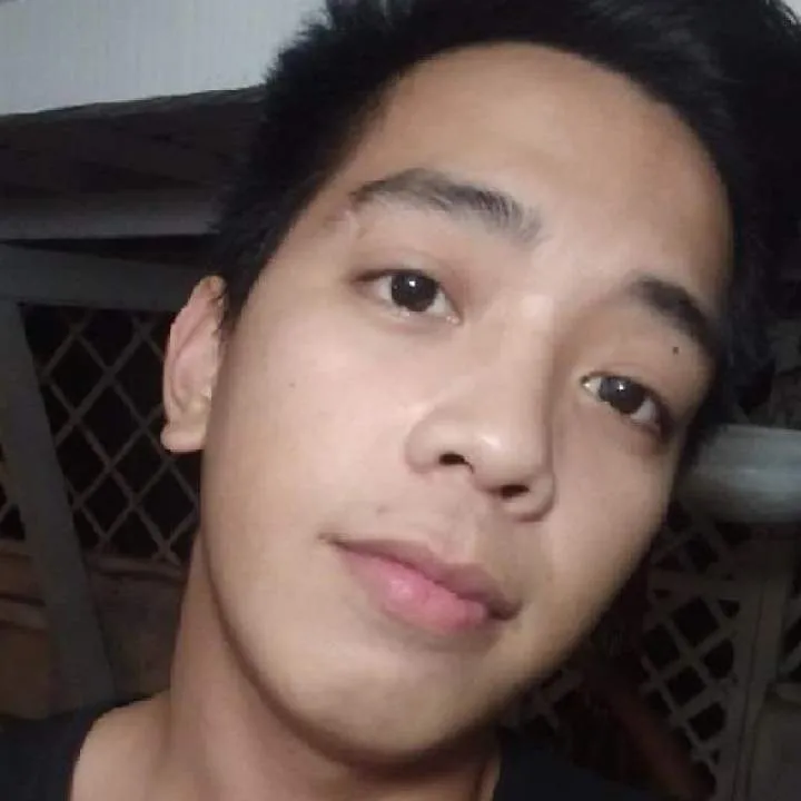 Van Photo On Jungo Live