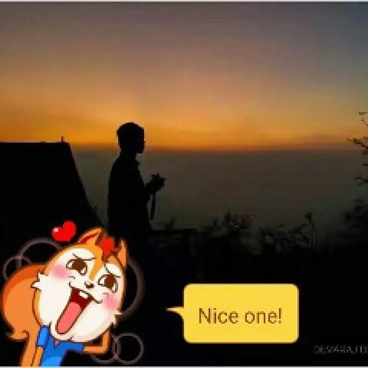 Stan Photo On Jungo Live