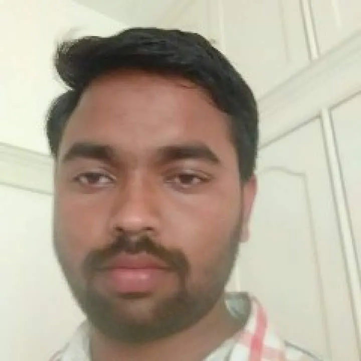 Gouda Photo On Jungo Live