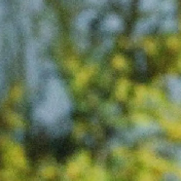 Julian Photo On Jungo Live